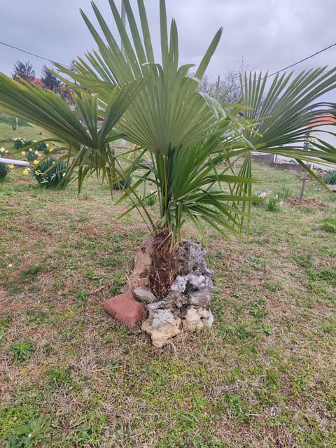 Rola smeštaj Vacation rental in Serbia