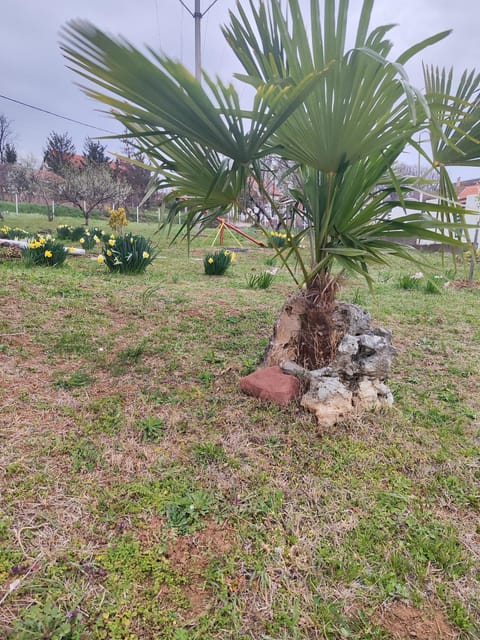 Rola smeštaj Vacation rental in Serbia