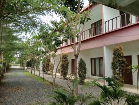 Property building, Garden, Garden view