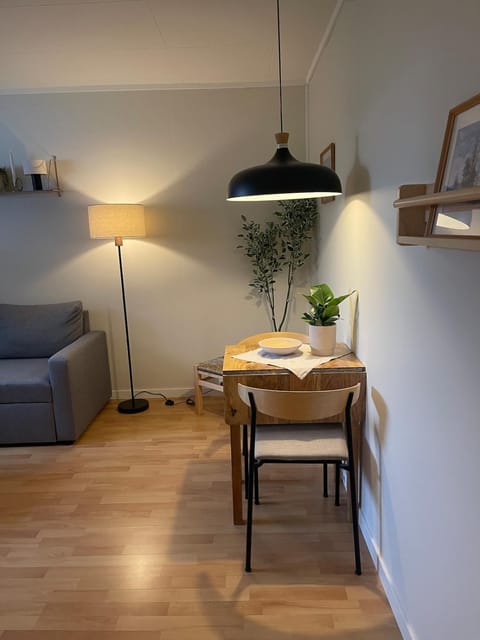Cozy apartment near downtown Tromsø with parking Apartment in Tromso