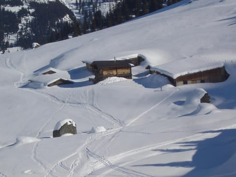 S'Mitterer Farm Stay in Salzburgerland