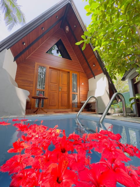 Patio, Garden, Garden view