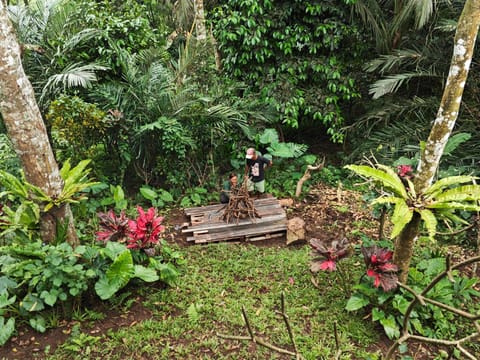 Pondok kepundung Chalet in East Selemadeg