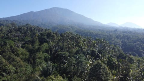 Pondok kepundung Chalet in East Selemadeg