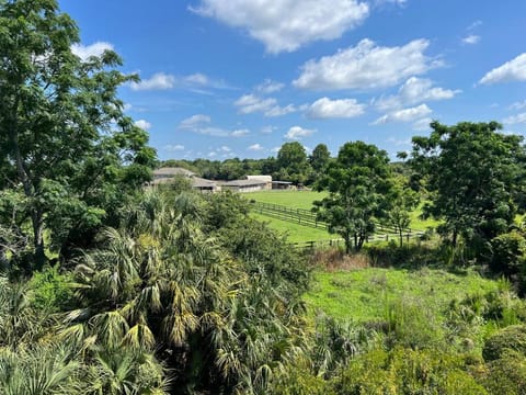 4056 Bridle Trail House in Seabrook Island