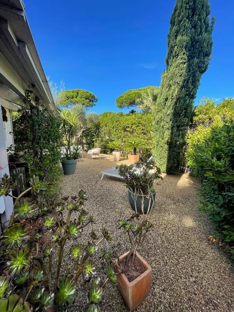 Garden, Garden view