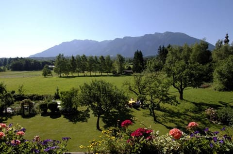 Natural landscape, Garden, Garden view, Mountain view
