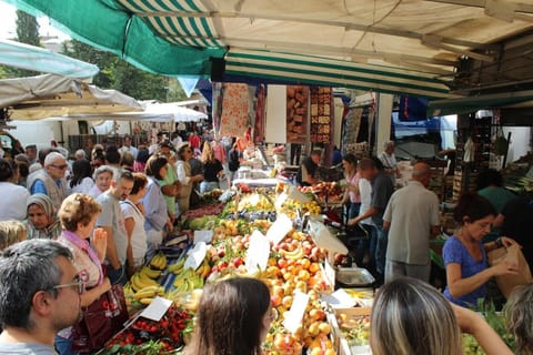 Delicious next to Florence Apartment in Florence