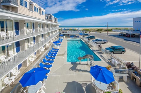 Swimming pool, Swimming pool