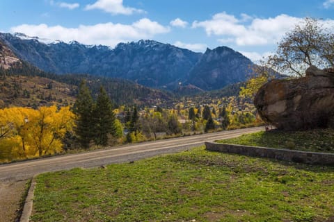 532 Oak St House in Ouray