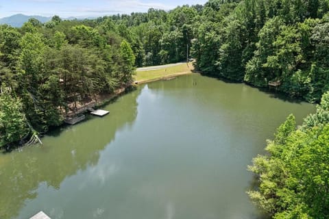 Bird's eye view, Lake view, River view