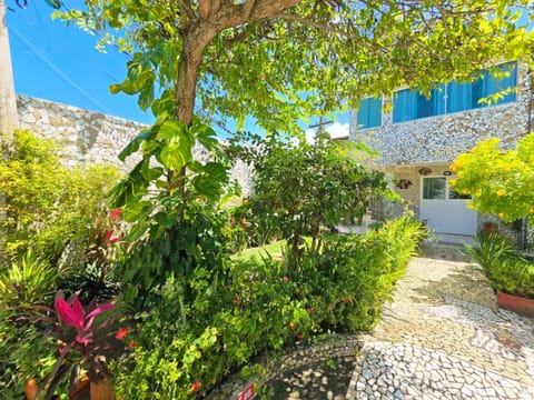 Property building, Garden, Garden, Garden view