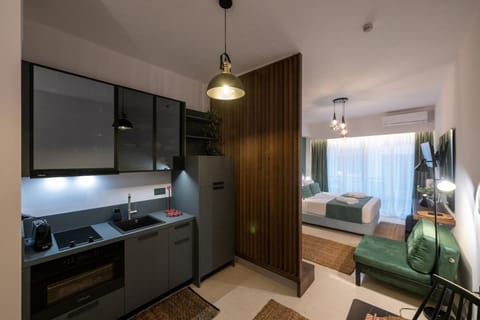TV and multimedia, Kitchen or kitchenette, Photo of the whole room, Bedroom, stove