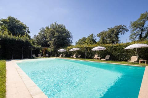 Garden, Pool view, Swimming pool, sunbed