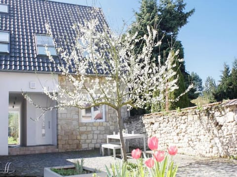 Property building, Garden view