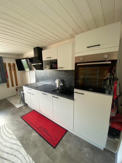 Kitchen or kitchenette, dishwasher, stove