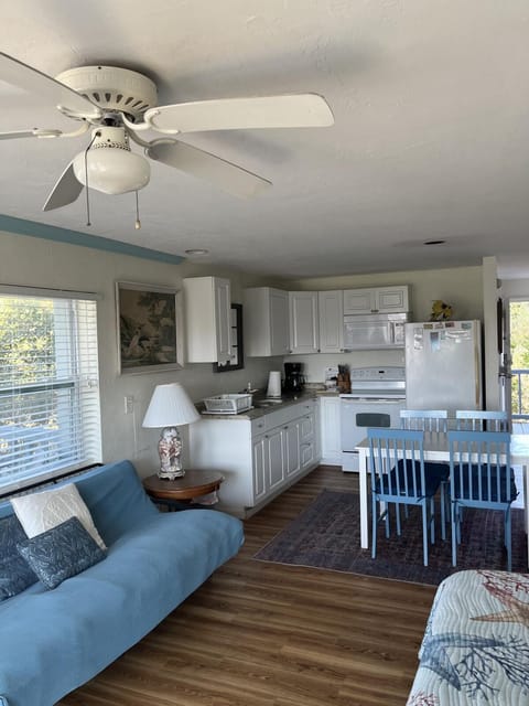 Kitchen or kitchenette, Living room, oven, pet friendly