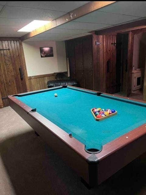 Billiard, Game Room