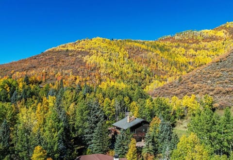 Value - Vail Hideaway - Forest Views, Deck Comfort House in Vail