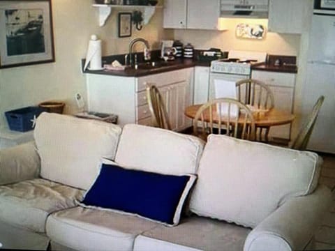 Lazy Shell Condo 325 Apartment in Cedar Key