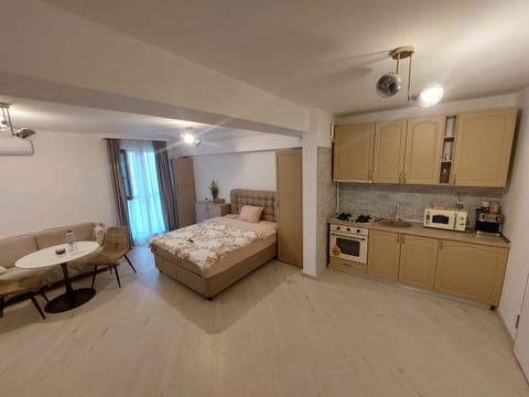 Garsoniera zona centrala Craiova Apartment in Craiova