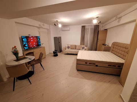 Garsoniera zona centrala Craiova Apartment in Craiova