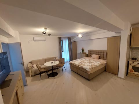 Garsoniera zona centrala Craiova Apartment in Craiova