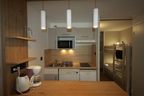 Archipel Accueil International - Studio Bois des Coqs Apartment in Saint-Chaffrey