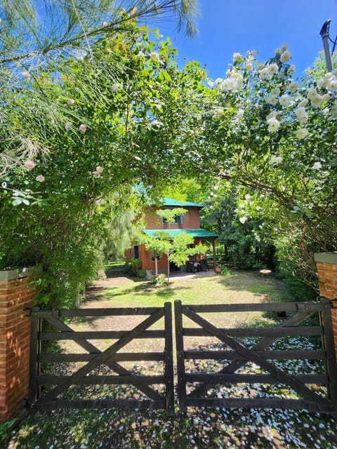 Day, Natural landscape, Garden
