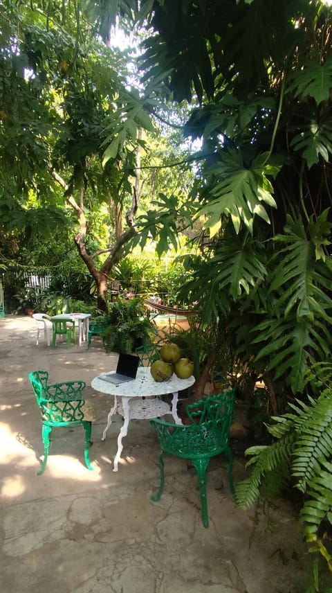 Jungle Palace by Santaella Bed and Breakfast in Puerto Escondido