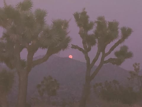 Mountainside Retreat Villa in Yucca Valley