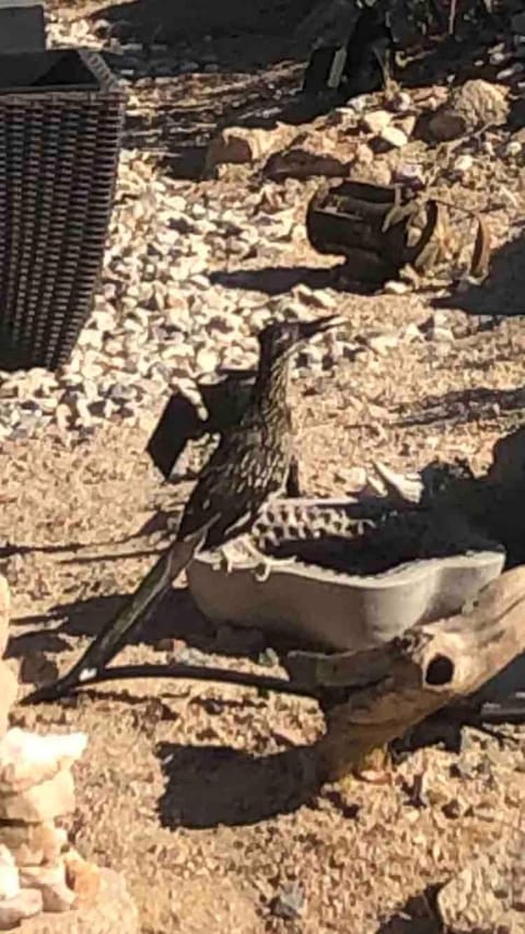 Mountainside Retreat Villa in Yucca Valley