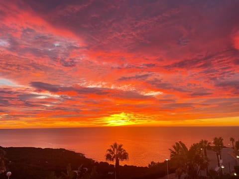 Summer, Sunrise, Sunset