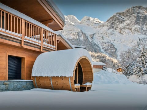 Property building, Day, Natural landscape, Winter, Sauna, Mountain view