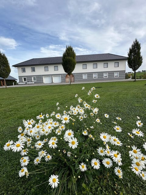 Property building, Spring, Garden, Garden, Garden view