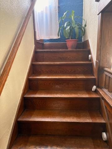 Tree House 6 bedrooms, 2 blocks from everything House in Cuyahoga Falls