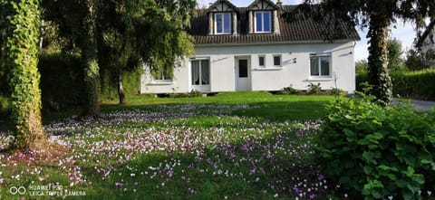 Property building, Garden view