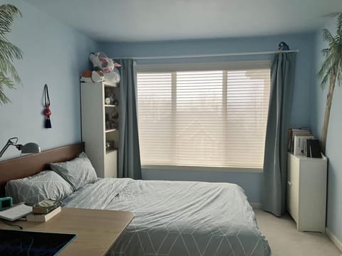 1 BR in a Lakeview House Near Redmond DT Villa in Lake Sammamish