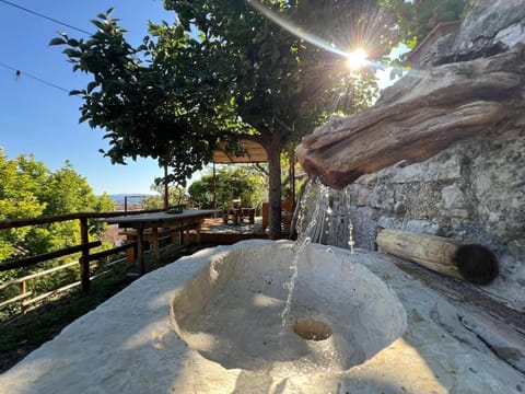 Garden, Balcony/Terrace