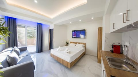 Bed, TV and multimedia, Kitchen or kitchenette, Living room, Photo of the whole room, Bedroom, minibar, towels