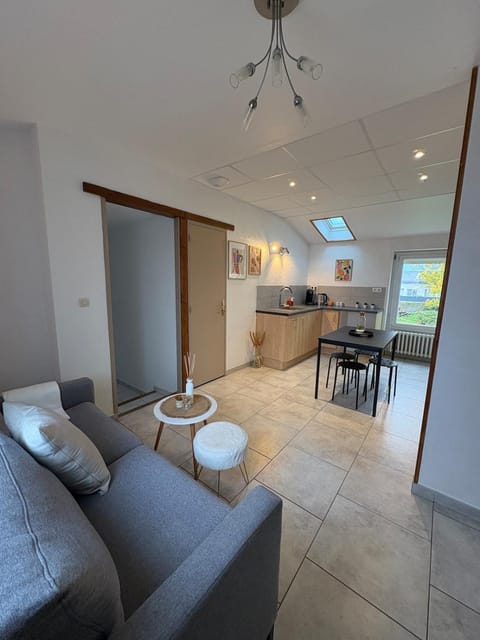 Kitchen or kitchenette, Living room, Seating area, Dining area, oven, stove