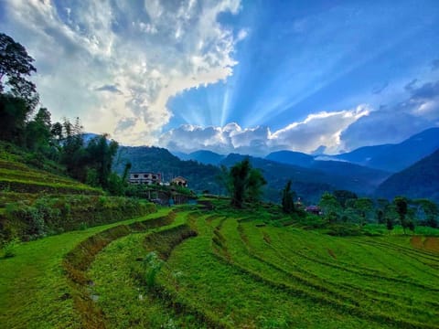 Mountain view