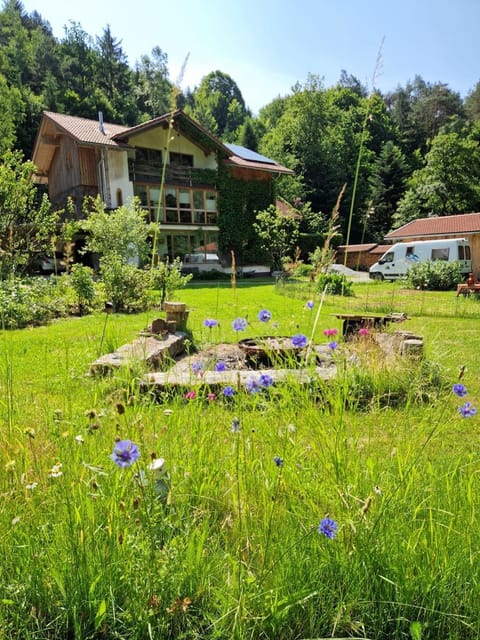 Property building, Natural landscape, Garden