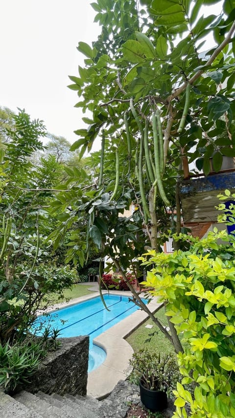 Spring, Garden, Garden view