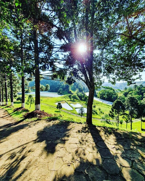 Natural landscape, Garden