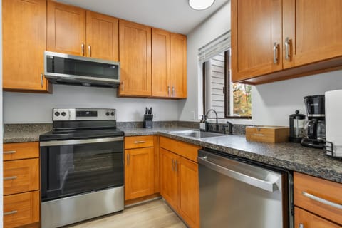 Kitchen or kitchenette, dishwasher, oven, stove