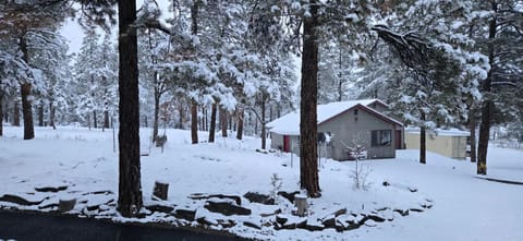 Property building, Natural landscape, Winter