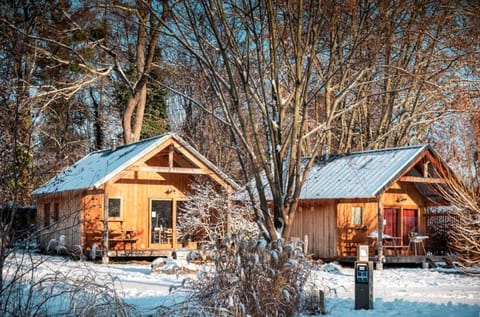 Winter, Photo of the whole room