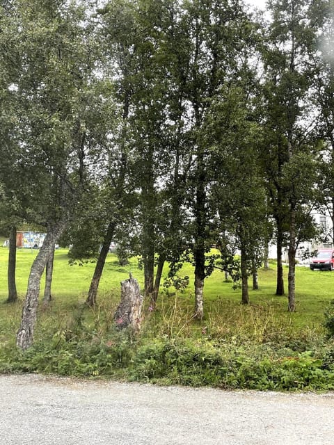 Private Arctic suite with sauna Apartment in Tromso