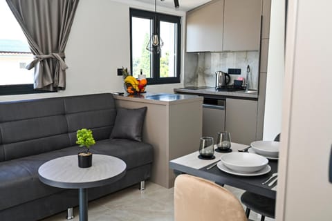 Kitchen or kitchenette, Living room, Seating area, Dining area, dishwasher, stove